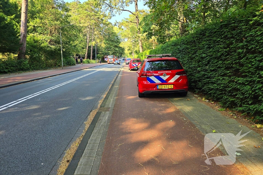 Brandweer ingezet vanwege duinbrand