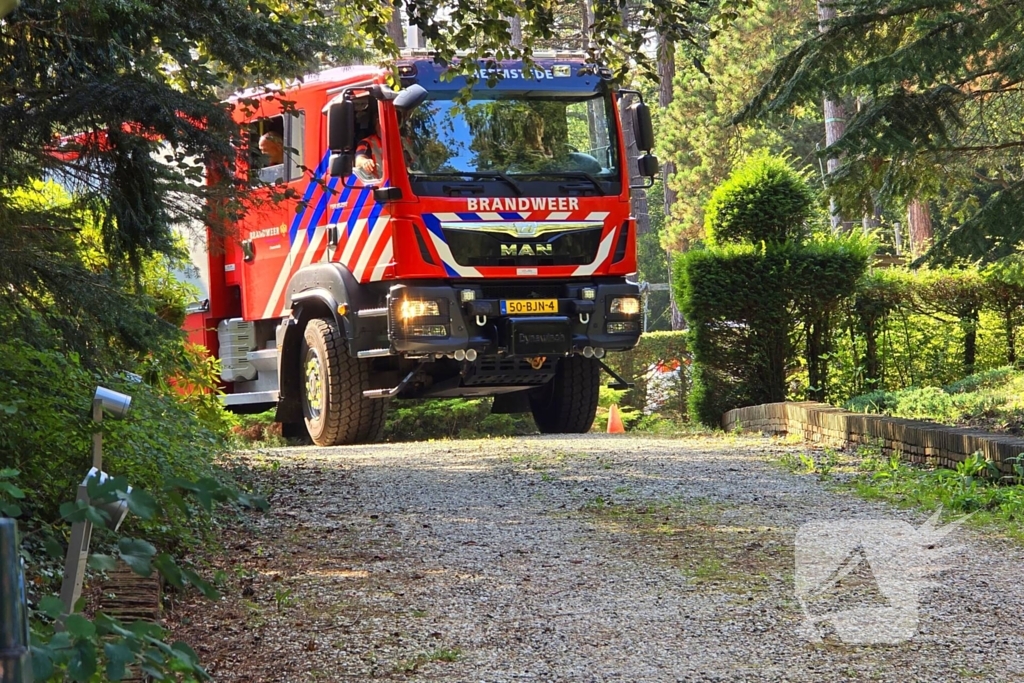 Brandweer ingezet vanwege duinbrand