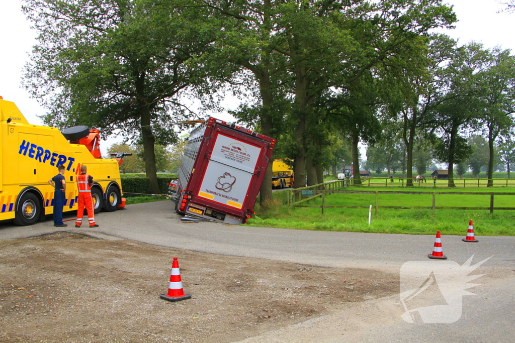 Vrachtwagen met biggen belandt in greppel