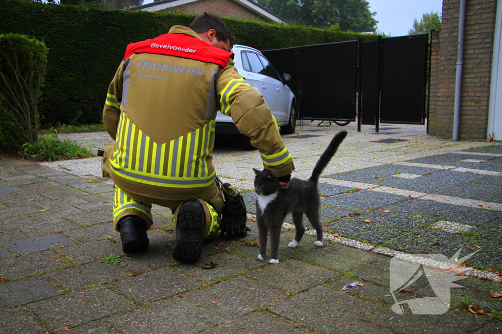 Kat na dagenlang vastzitten gered door brandweer