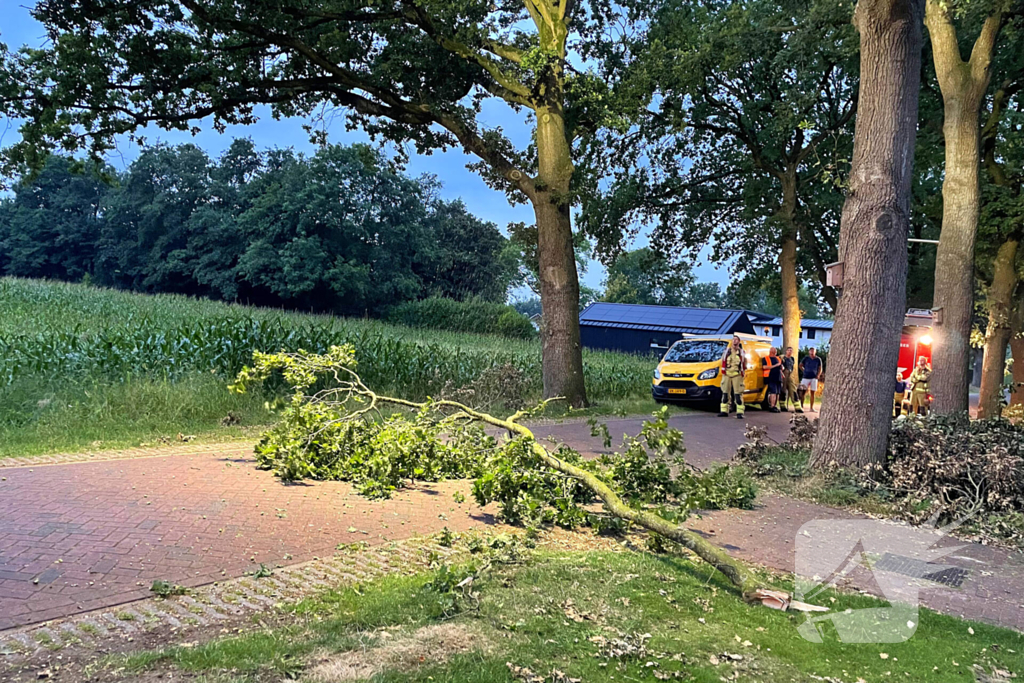 Gevaarlijk hangende tak dreigt te vallen