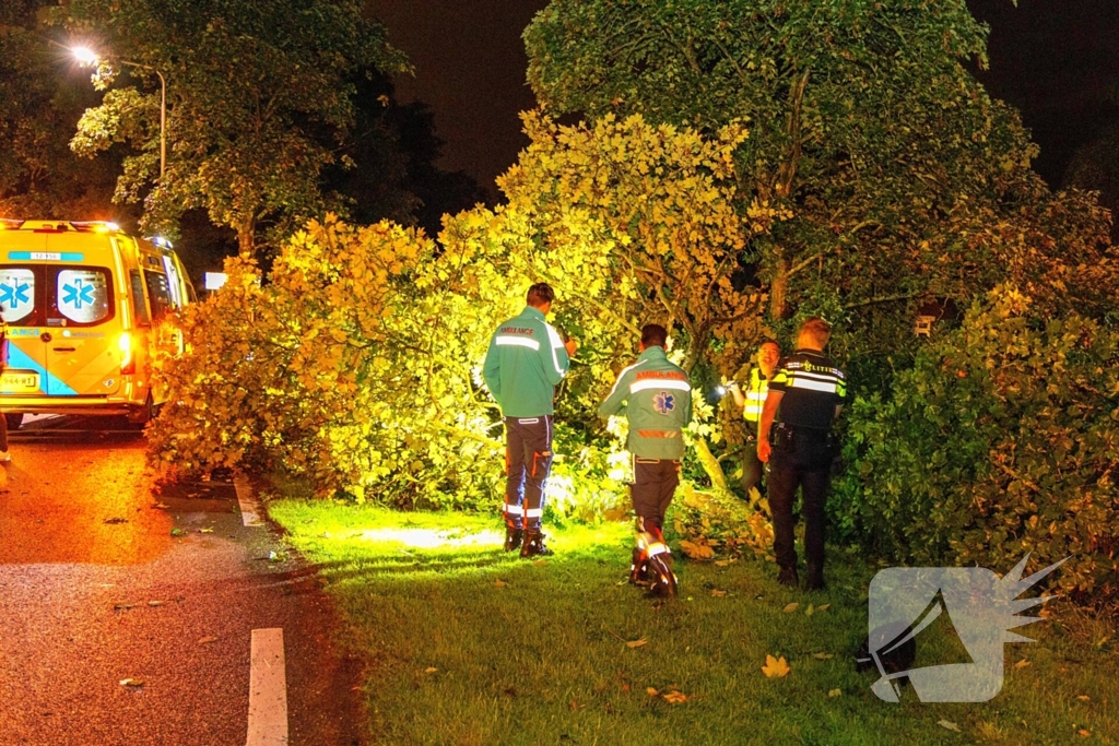 Boom doormidden nadat auto van weg raakt