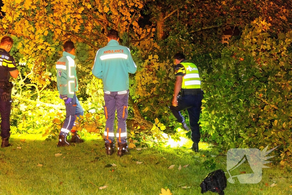 Boom doormidden nadat auto van weg raakt