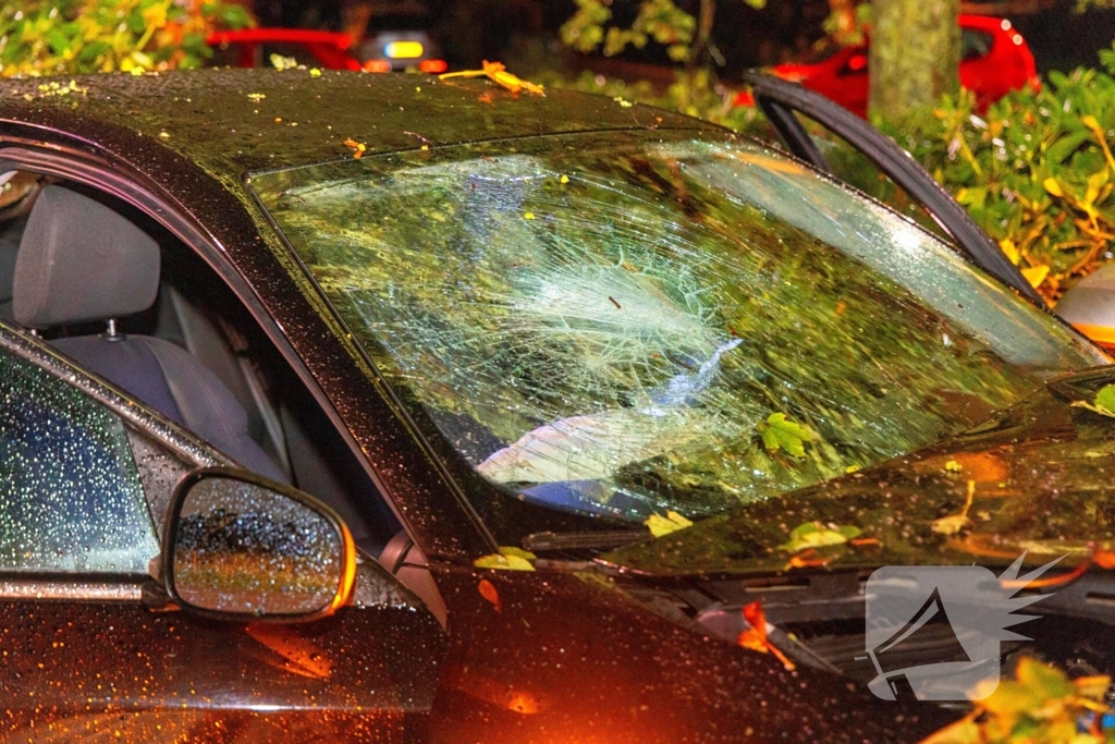 Boom doormidden nadat auto van weg raakt