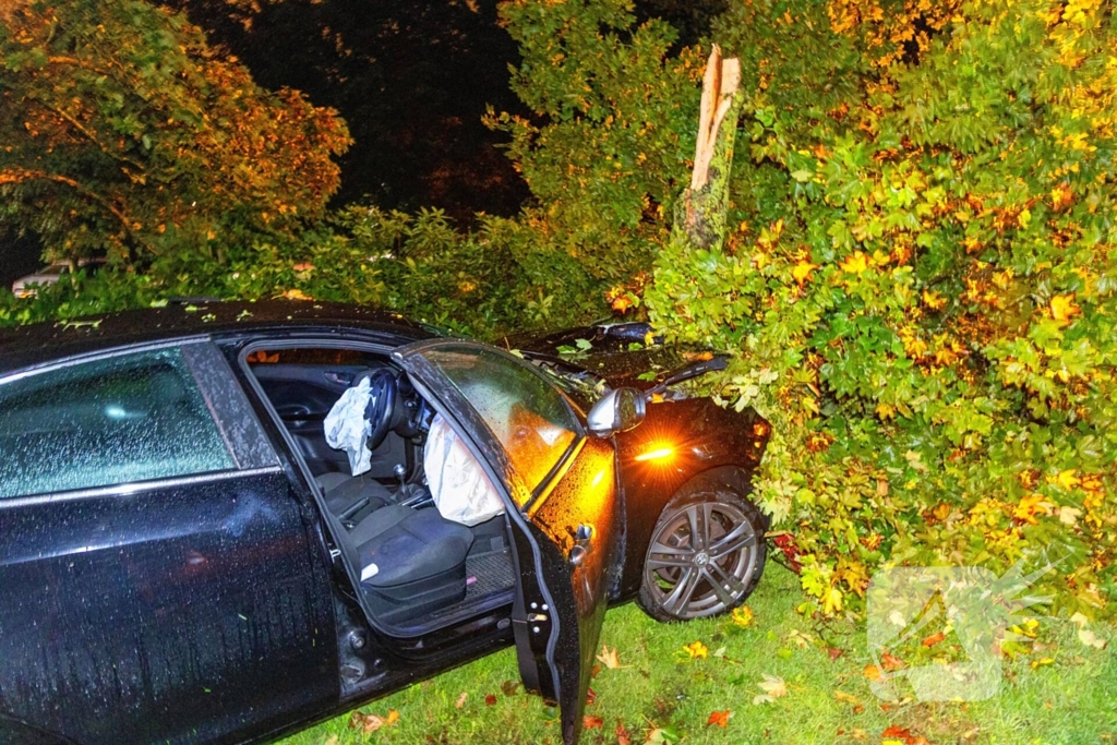 Boom doormidden nadat auto van weg raakt