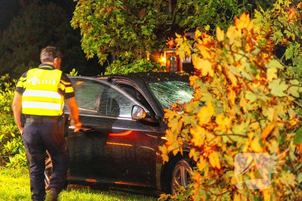 Boom doormidden nadat auto van weg raakt