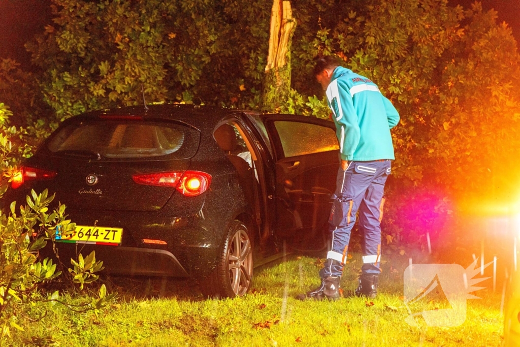 Boom doormidden nadat auto van weg raakt