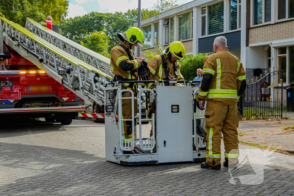 Buurt belt brandweer voor kat in de boom