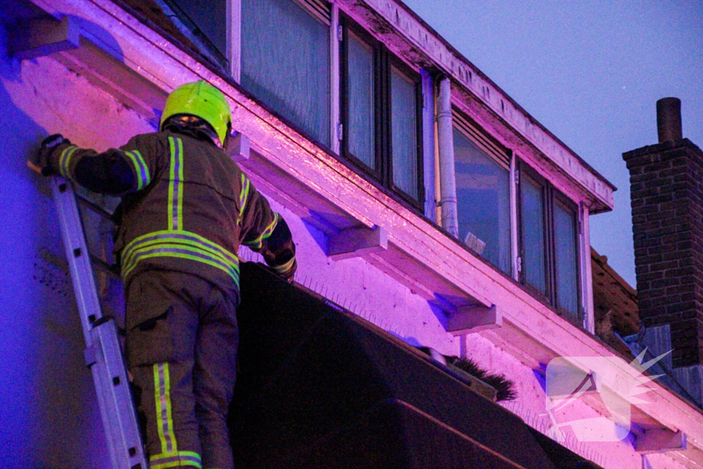 Brandweer druk met kat die op dak zit