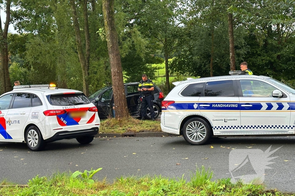 Bestuurder verliest controle en botst tegen boom