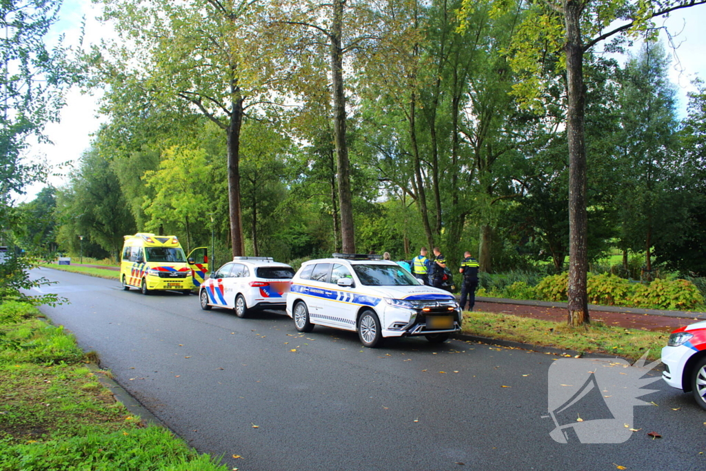 Bestuurder verliest controle en botst tegen boom