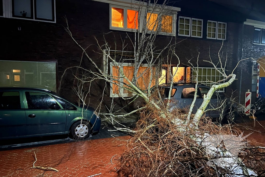 Boom valt op geparkeerde auto door sterke wind