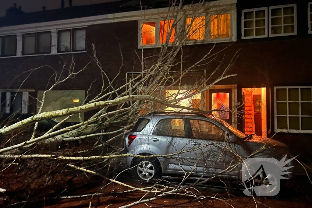 Boom valt op geparkeerde auto door sterke wind