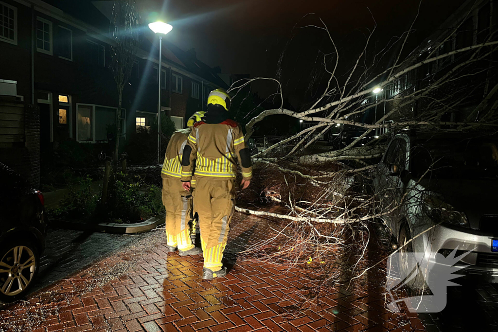 Boom valt op geparkeerde auto door sterke wind