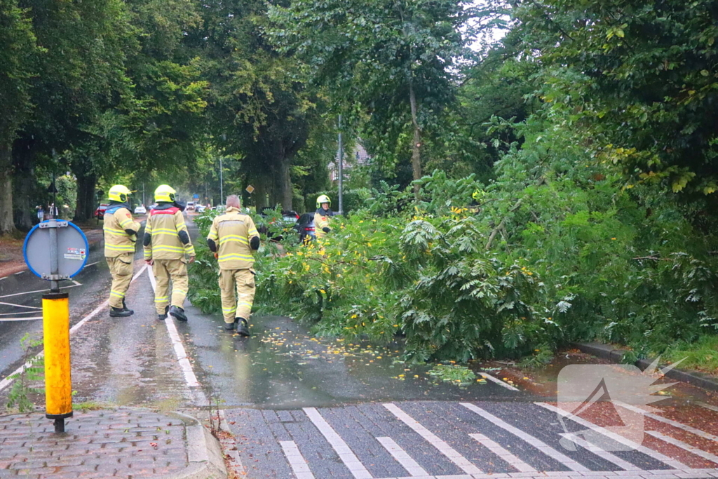 Brandweer verwijdert afgebroken tak van wegdek