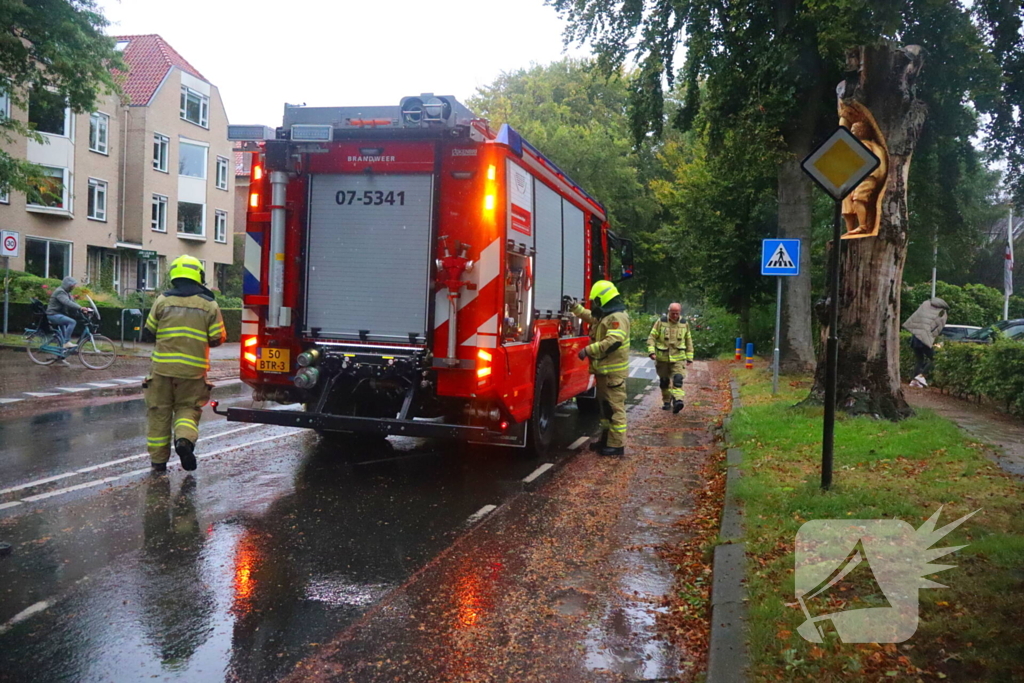 Brandweer verwijdert afgebroken tak van wegdek