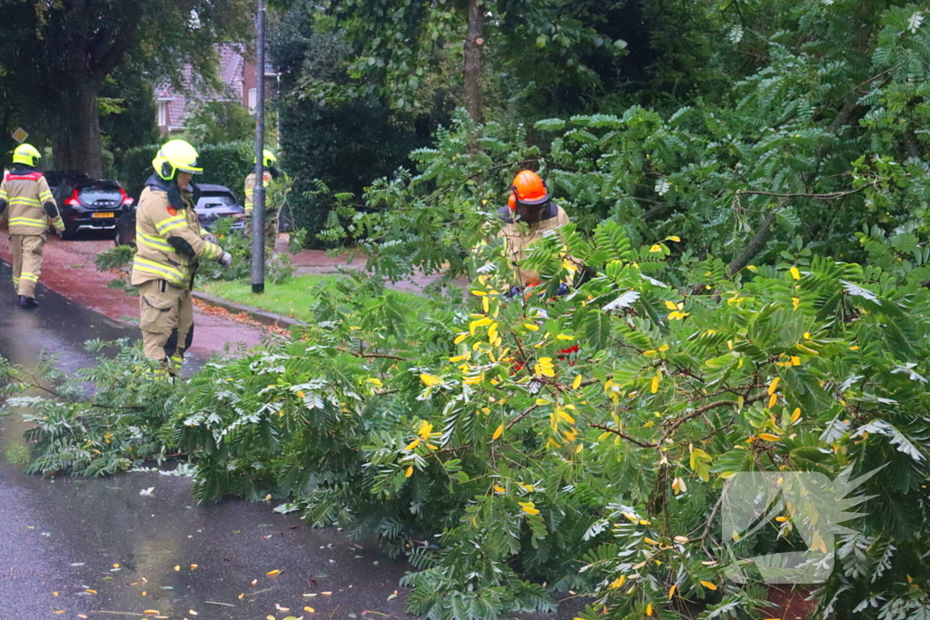 Brandweer verwijdert afgebroken tak van wegdek