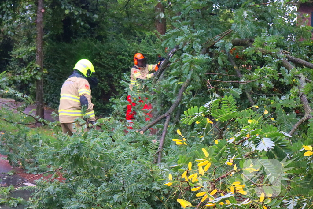 Brandweer verwijdert afgebroken tak van wegdek