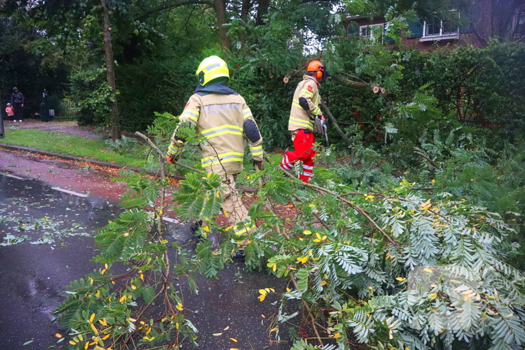 Brandweer verwijdert afgebroken tak van wegdek