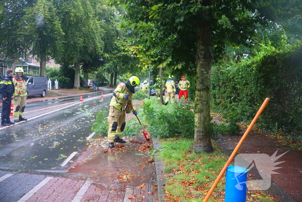 Brandweer verwijdert afgebroken tak van wegdek