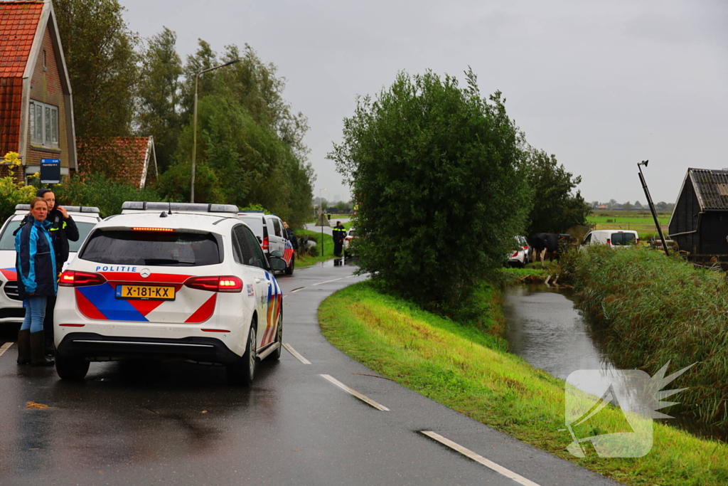 Vrouw aangevallen door stier