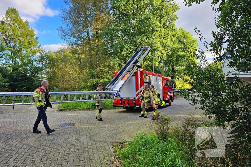 Brandweer assisteert dierenambulance bij kat in boom