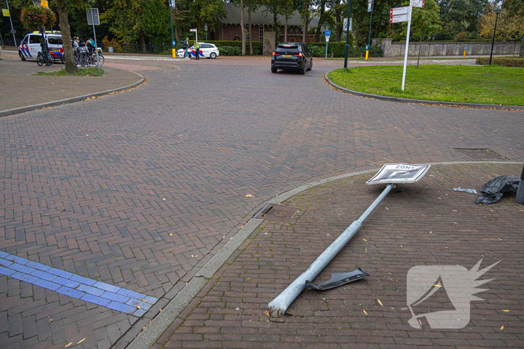 Automobilist ramt verkeersbord en lantaarnpaal