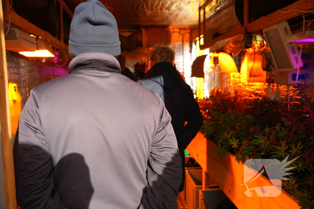 Kijkje in hennepkwekerij op de weekmarkt