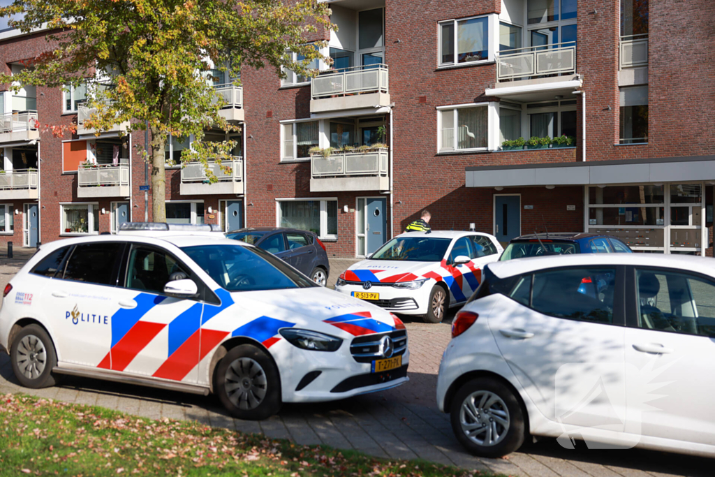 Vrouw aangehouden na steekpartij