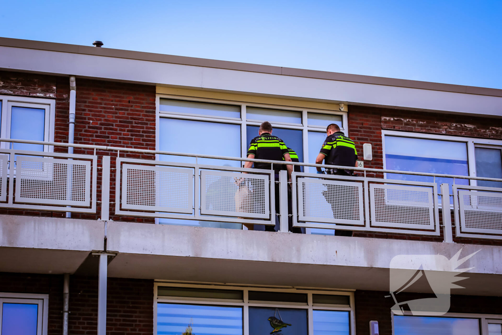 Vrouw aangehouden na steekpartij