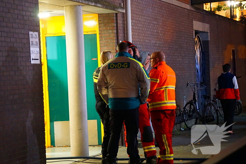 Brand in flatwoning