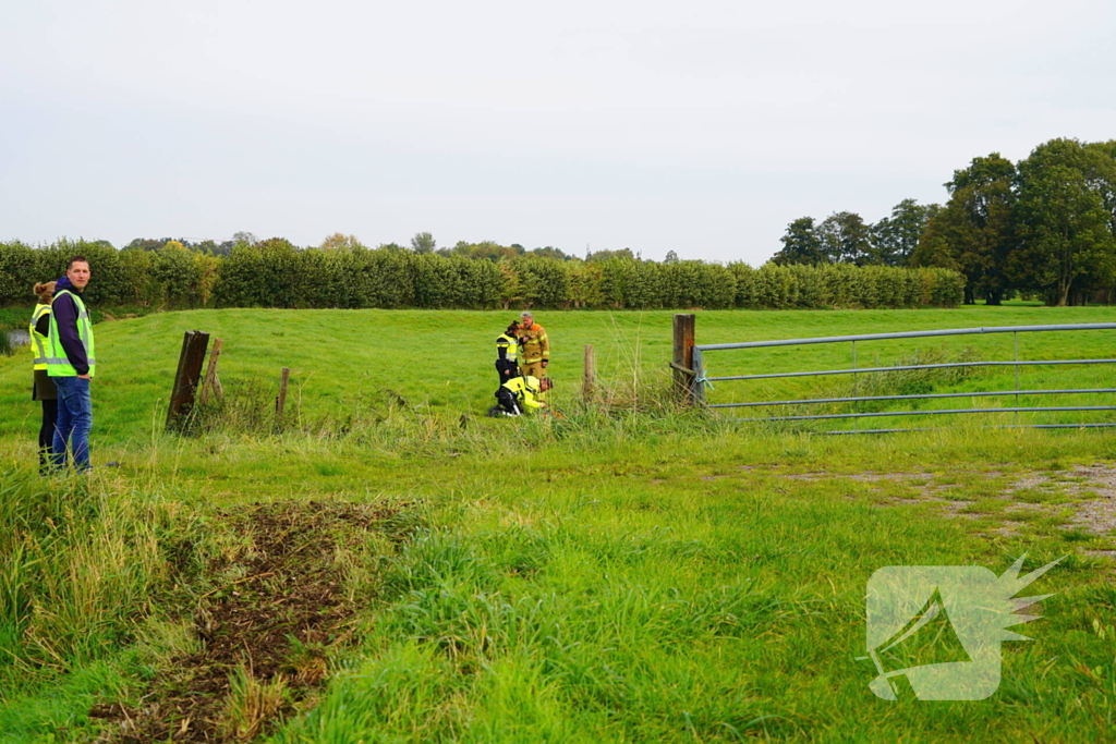 Bestuurder komt zonder kleerscheuren van crash af