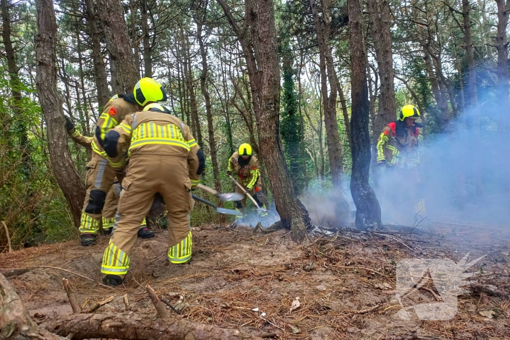 Brandweer grijpt in bij brandstichting in bos