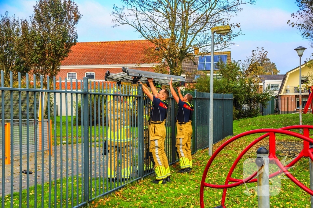 Brandweer redt kind uit boom