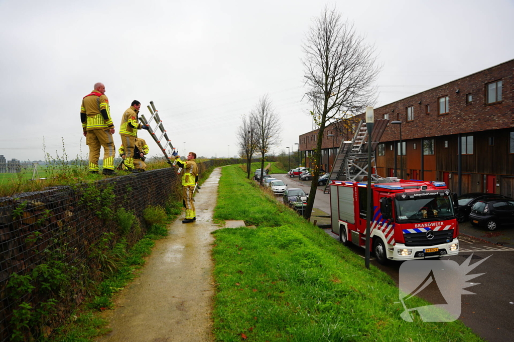 Brandweer op zoek naar vastzittend schaap