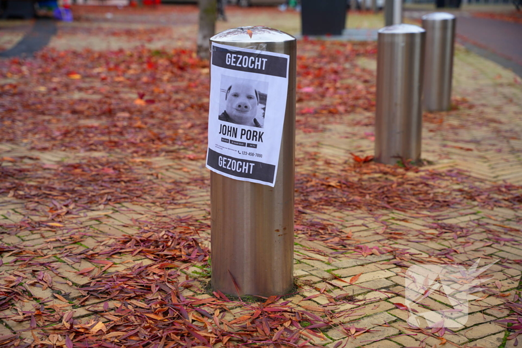 Opmerkelijke gezocht-posters opgehangen