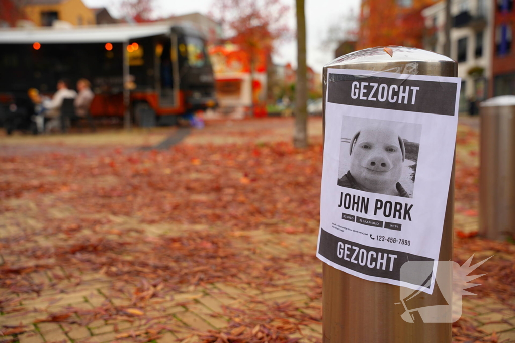 Opmerkelijke gezocht-posters opgehangen