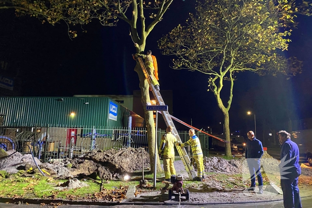 Boom dreigt om te vallen na wateroverlast en zorgt voor gevaar wegens gasleiding