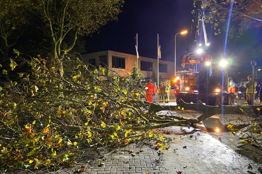 Boom dreigt om te vallen na wateroverlast en zorgt voor gevaar wegens gasleiding