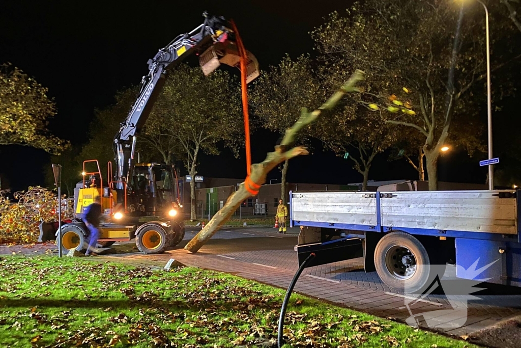 Boom dreigt om te vallen na wateroverlast en zorgt voor gevaar wegens gasleiding