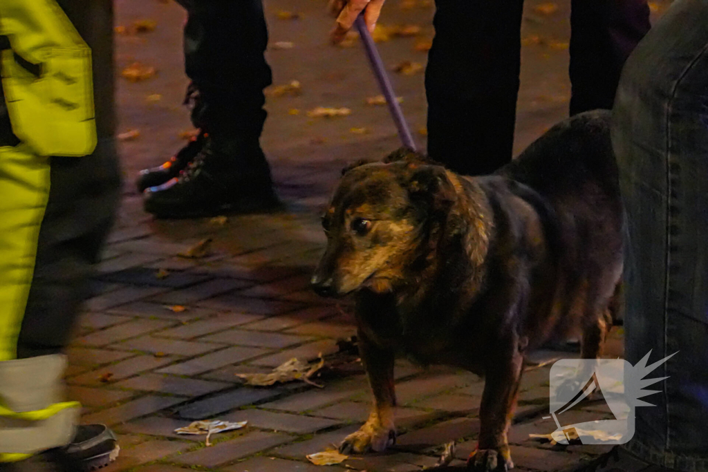 Vrouw en hond gered uit brandende woning