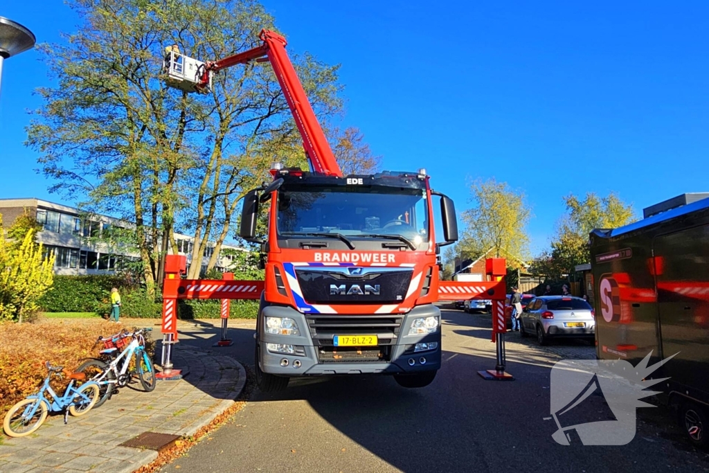 Poes Silvi door brandweer en dierenambulance gered uit boom