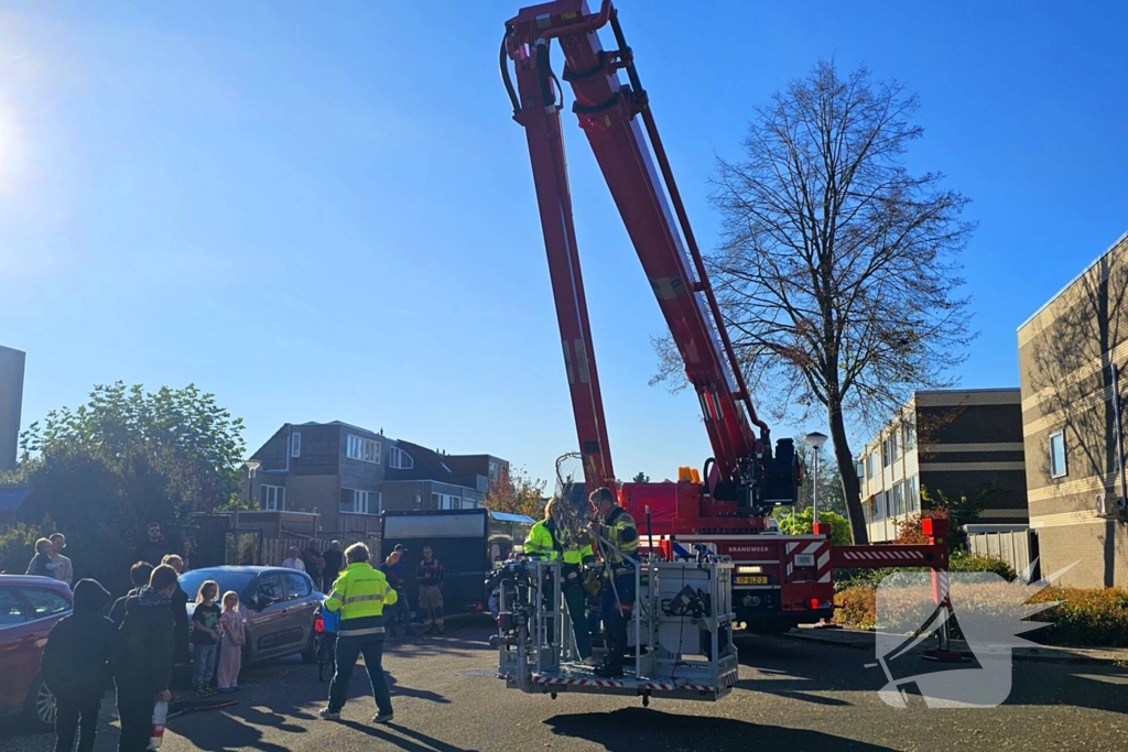 Poes Silvi door brandweer en dierenambulance gered uit boom