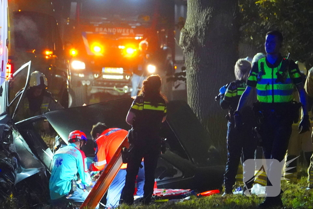 Auto botst tegen boom en belandt in greppel, 62-jarige bestuurder overleden