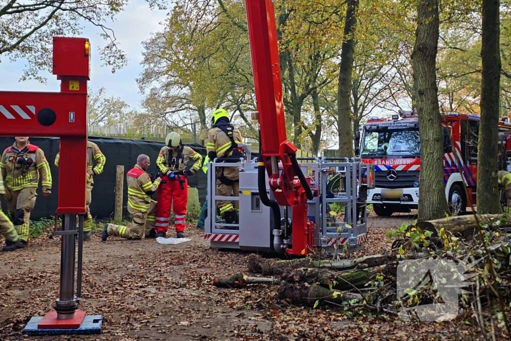 Hulpdiensten druk voor kat in boom