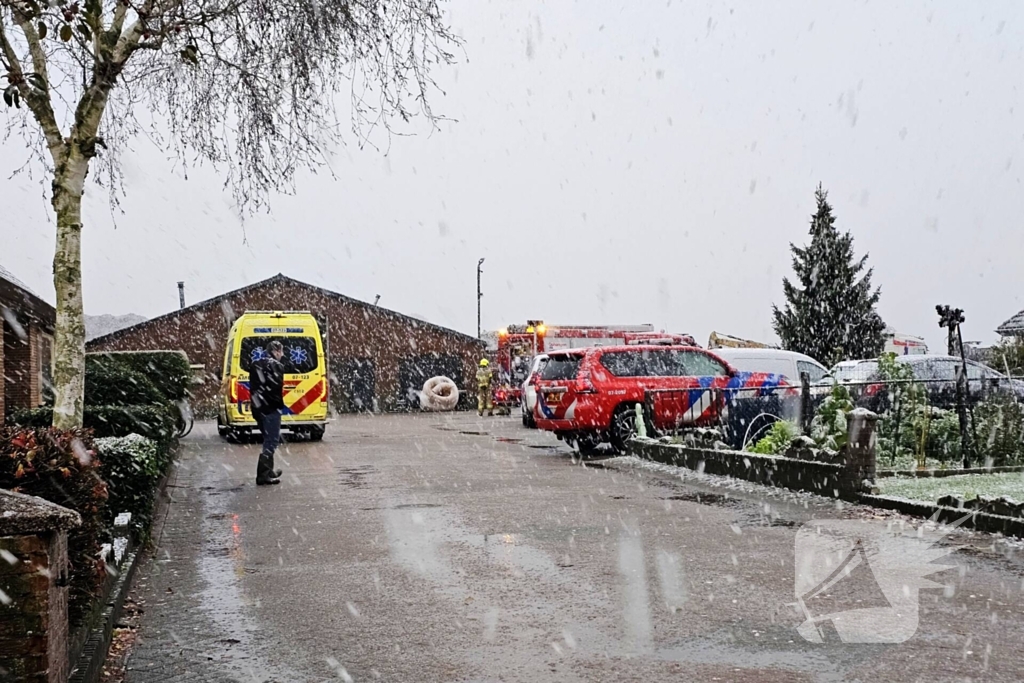 Twee koeien overleden bij brand in stal