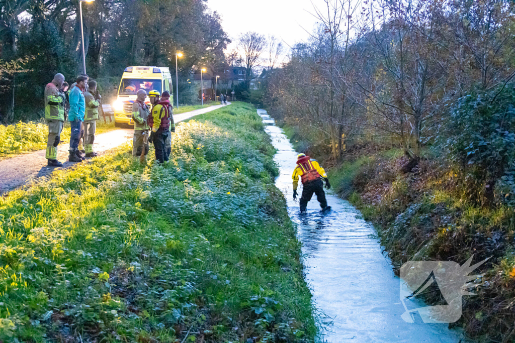 Hulpdiensten ingezet voor persoon te water