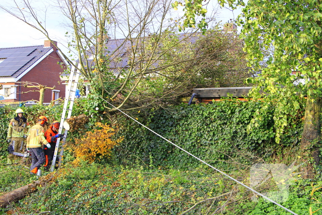 Omtrekken boom gaat verkeerd en valt op pergola