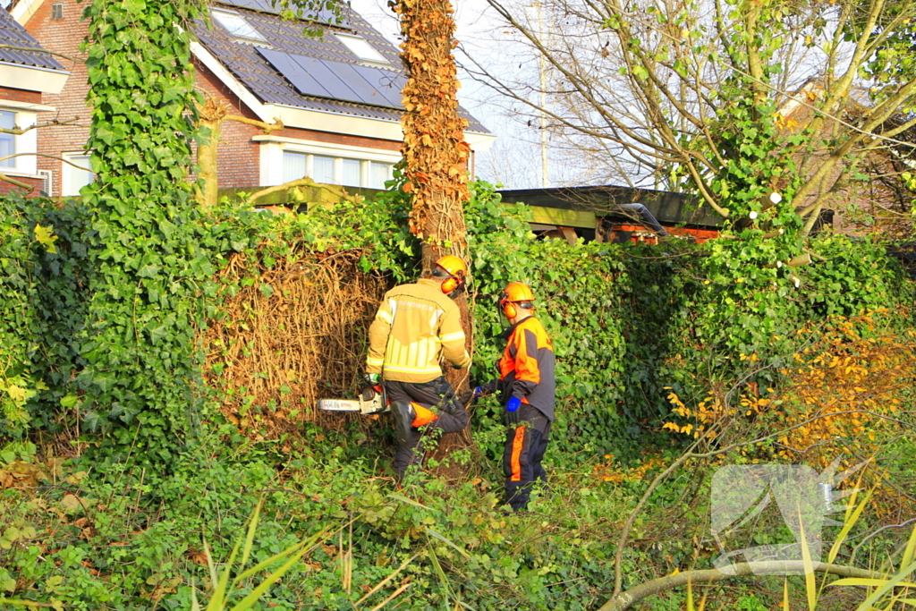 Omtrekken boom gaat verkeerd en valt op pergola