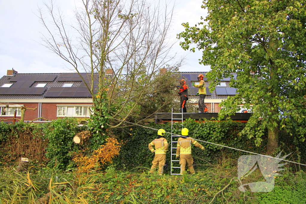 Omtrekken boom gaat verkeerd en valt op pergola